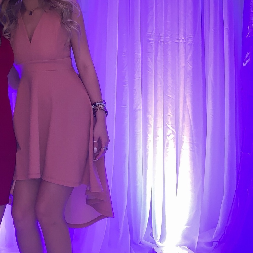 Windsor nude pink dress